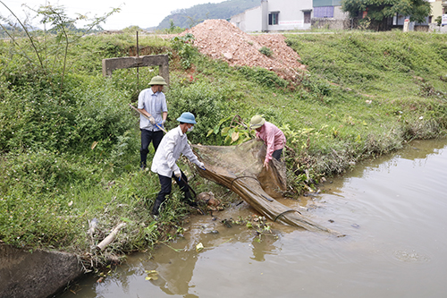 đất hành lang kênh mương